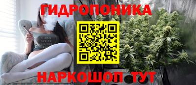 гашиш Новозыбков